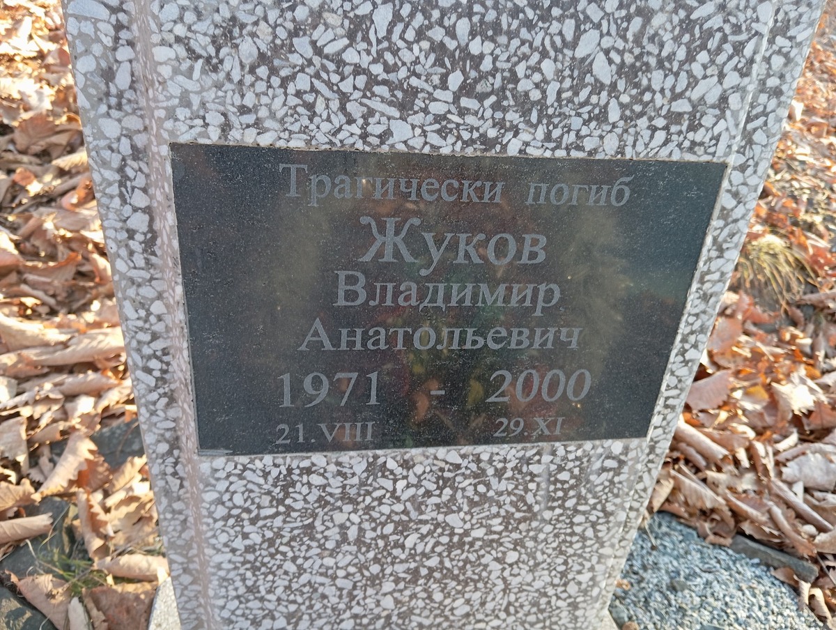 Жуков Владимир Анатольевич