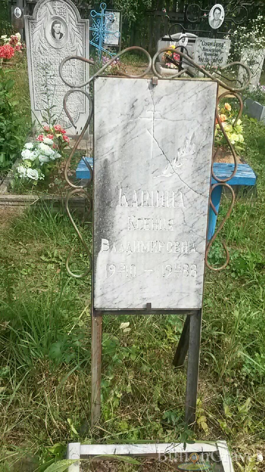 Кашина Ксения Владимировна