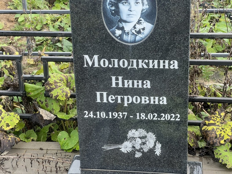 Молодкина