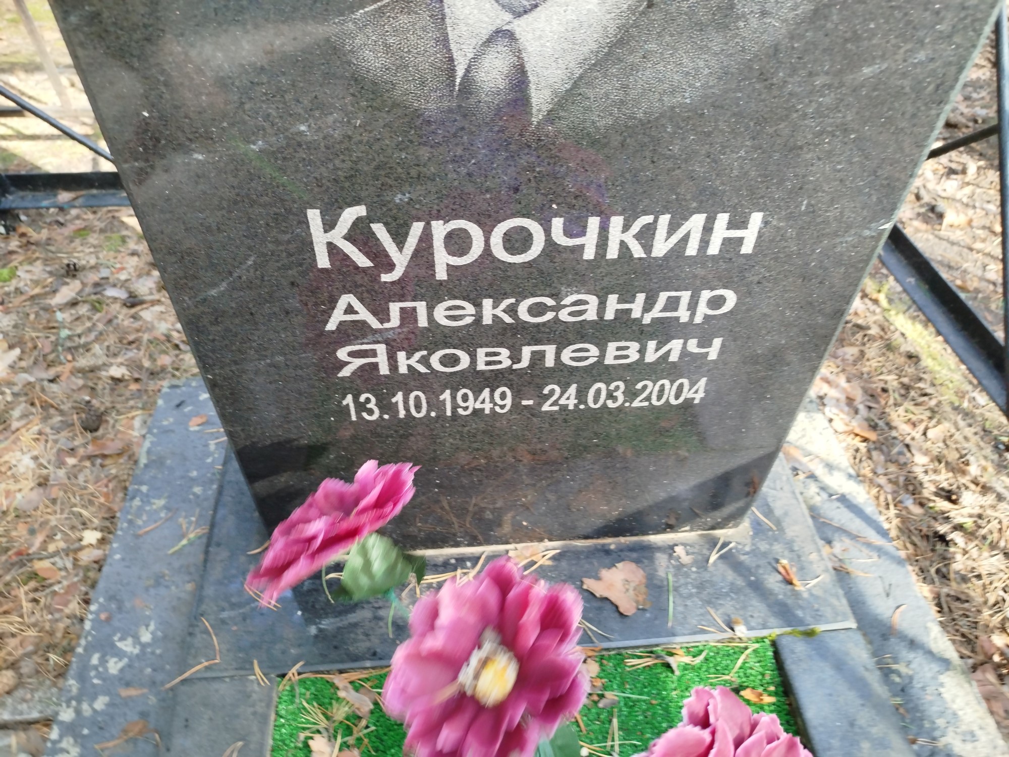 Курочкин Александр Яковлевич