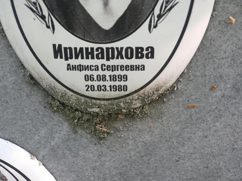 Иринархова Анфиса Сергеевна