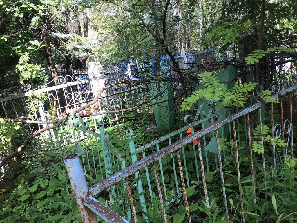 Тарасова Серафима Николаевна