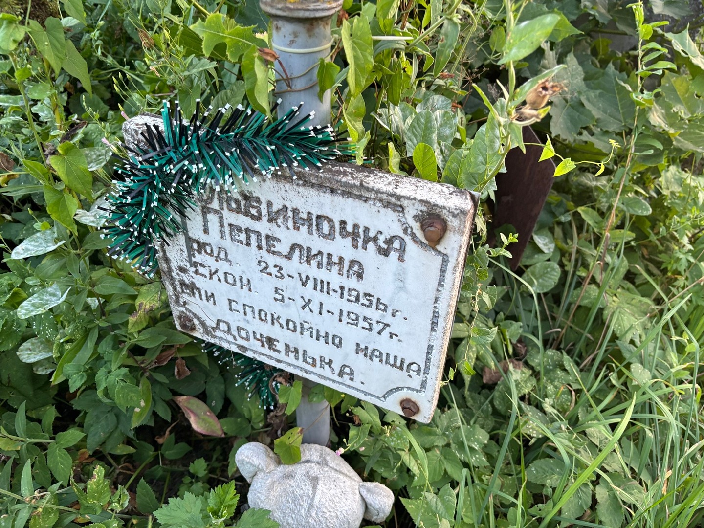 Пепелина Пепелина