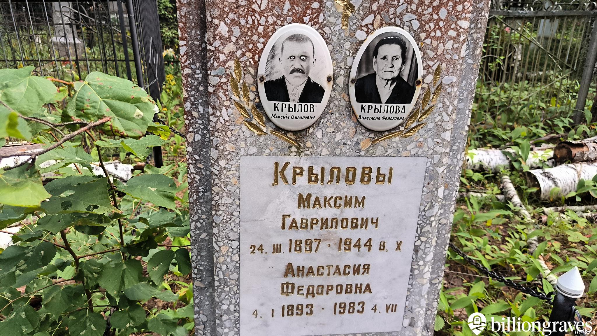 Крылов Максим Гаврилович