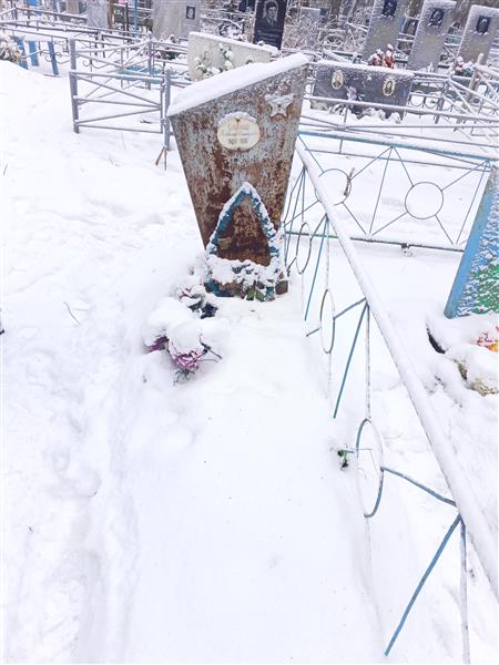 Серебряков Владимир Дмитриевич