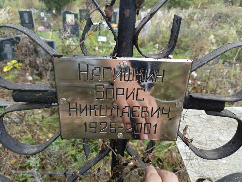 Нагишкин