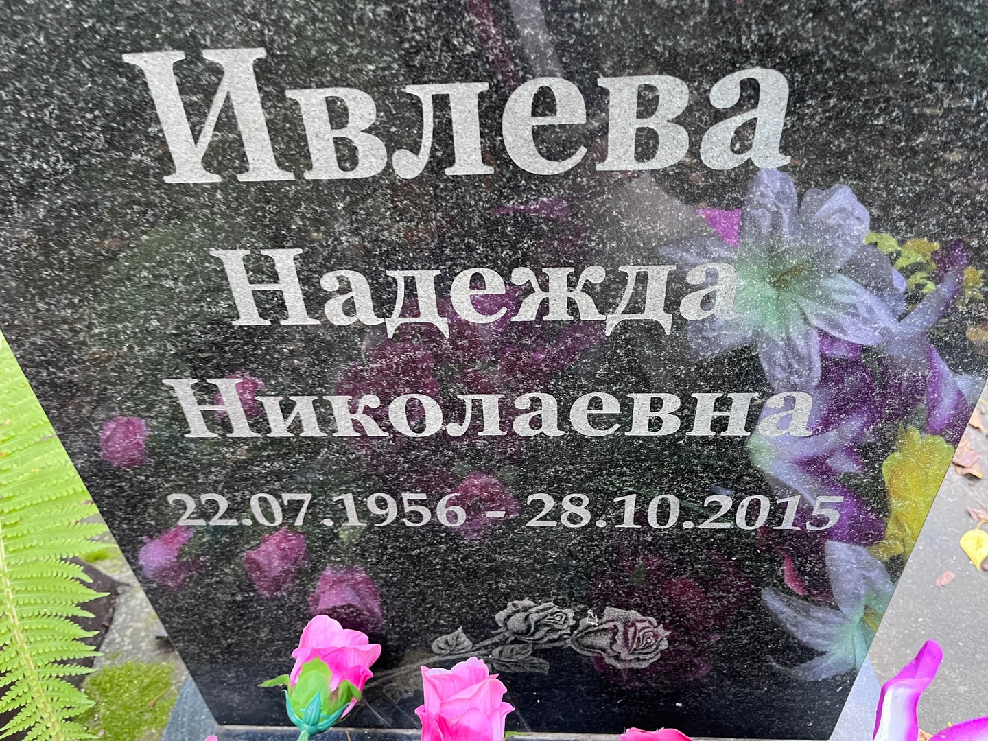 Ивлева