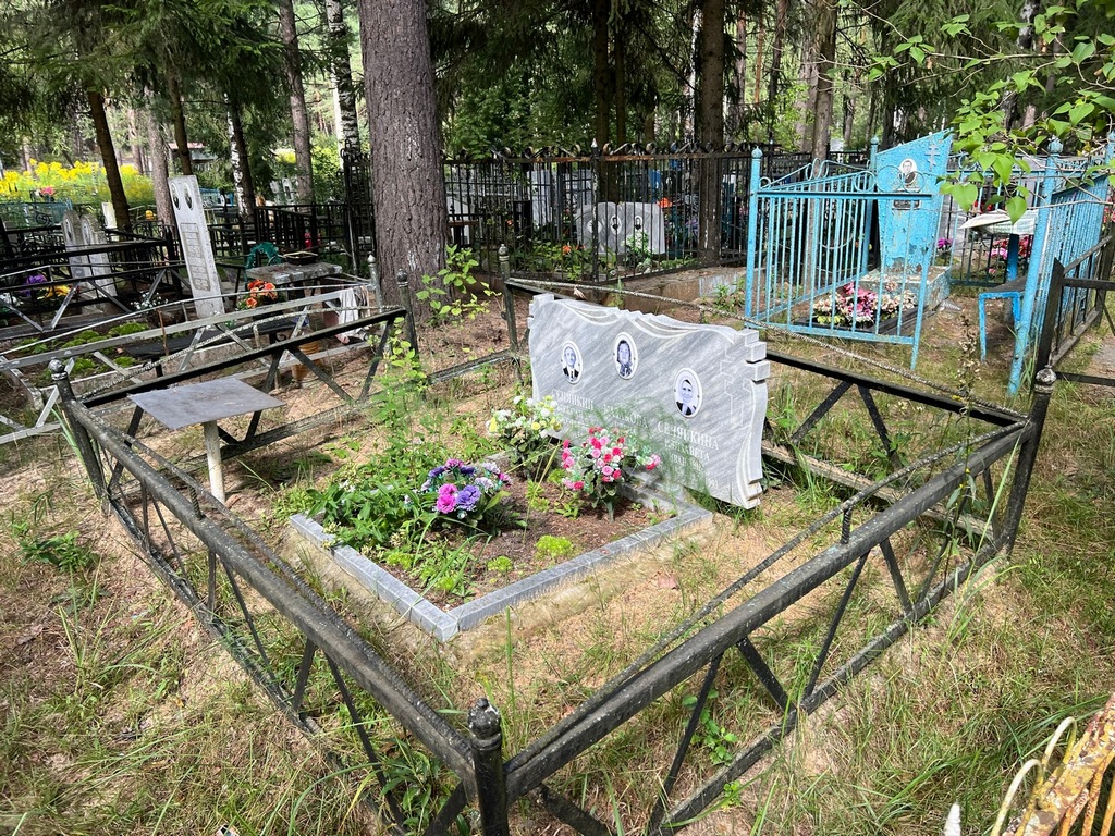 Сеняйкин Александр Григорьевич
