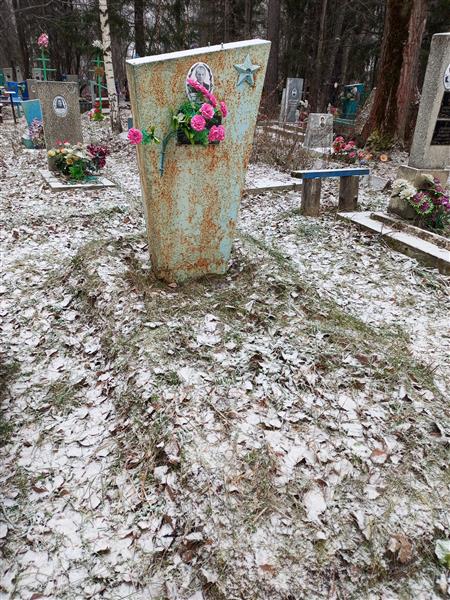 Бабушкин Аркадий Аполлинарьевич