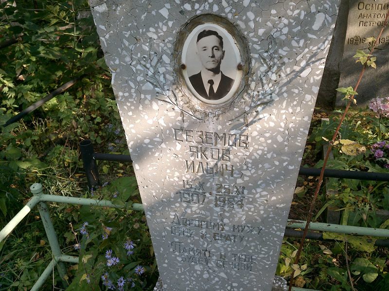 Сеземов