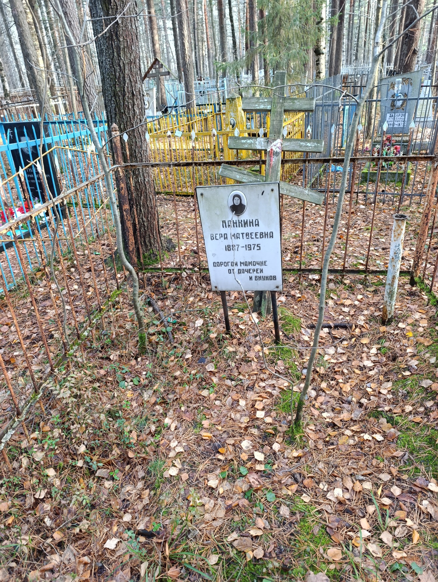 Панкина Вера Матвеевна