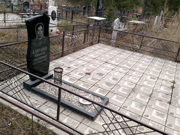 Едигарев Николай Степанович