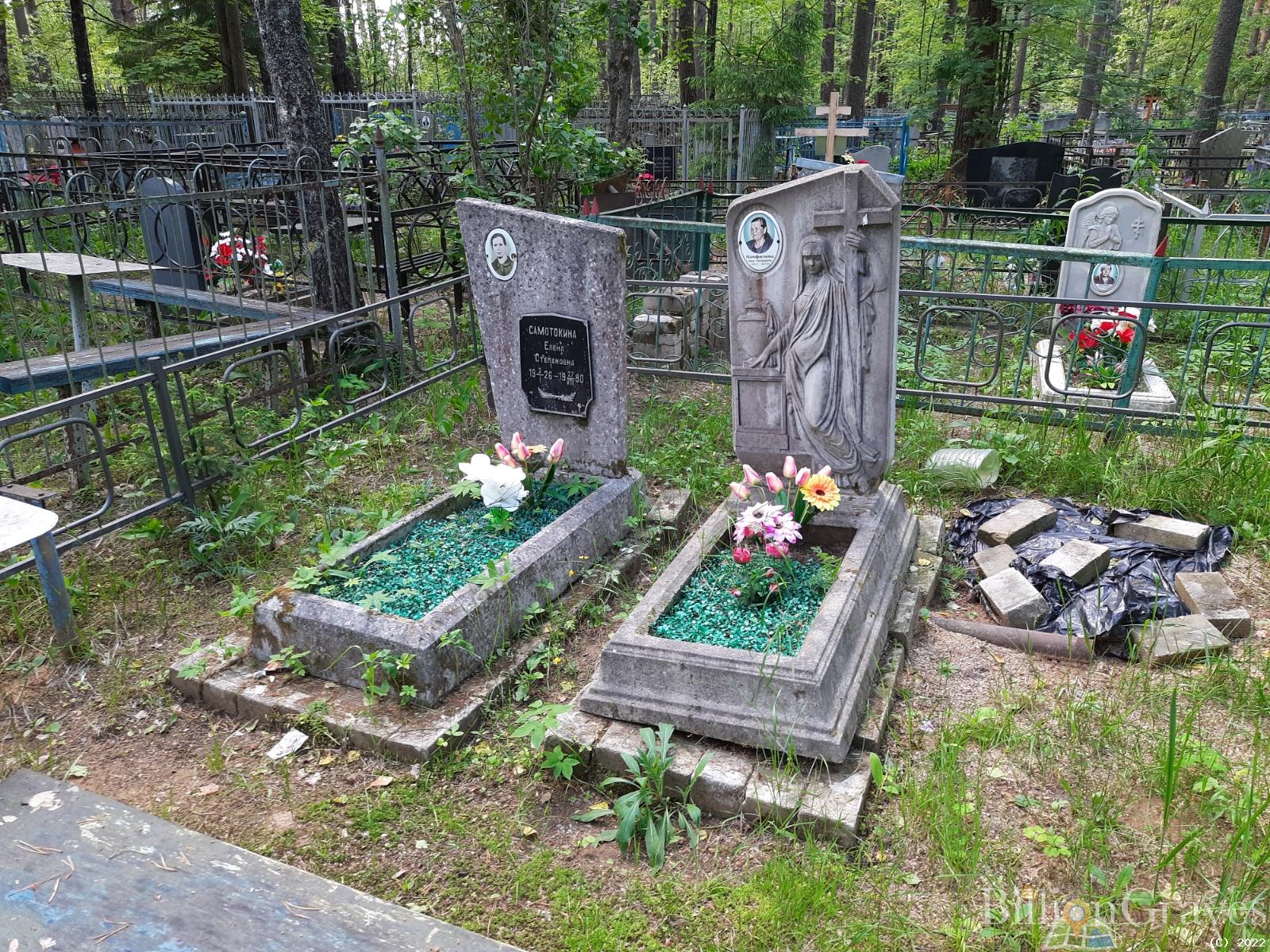 Самотокина Елена Степановна
