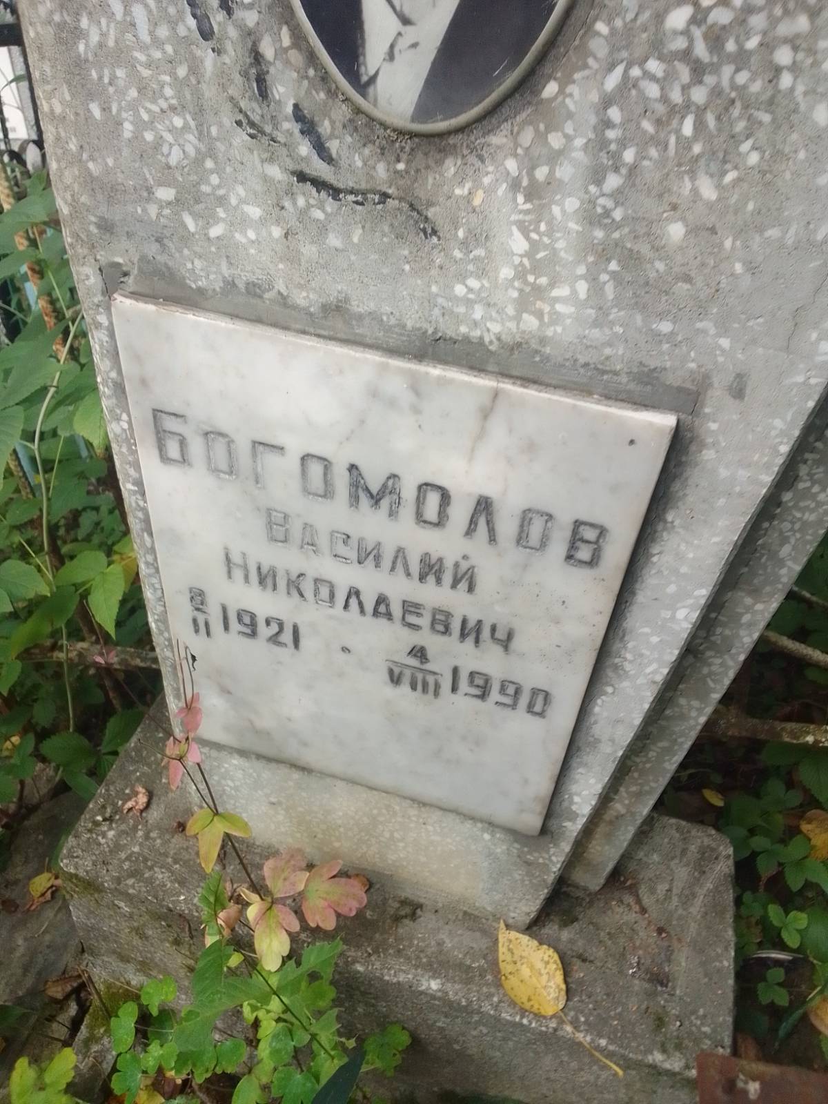 Богомолов Василий Николаевич