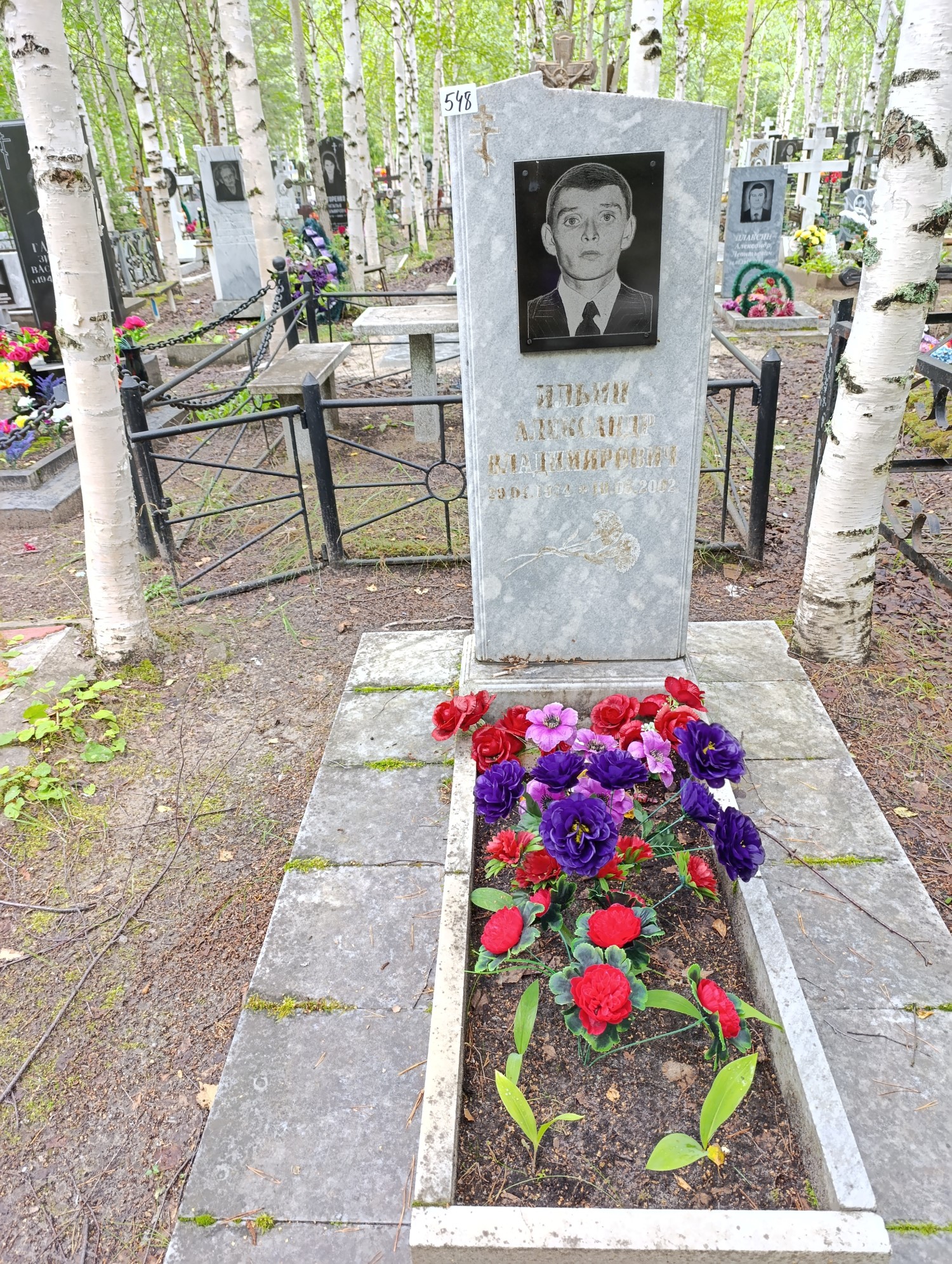 Ильин Александр Владимирович