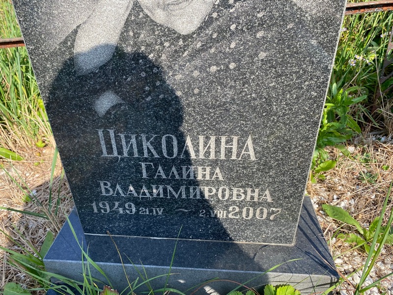 Циколина