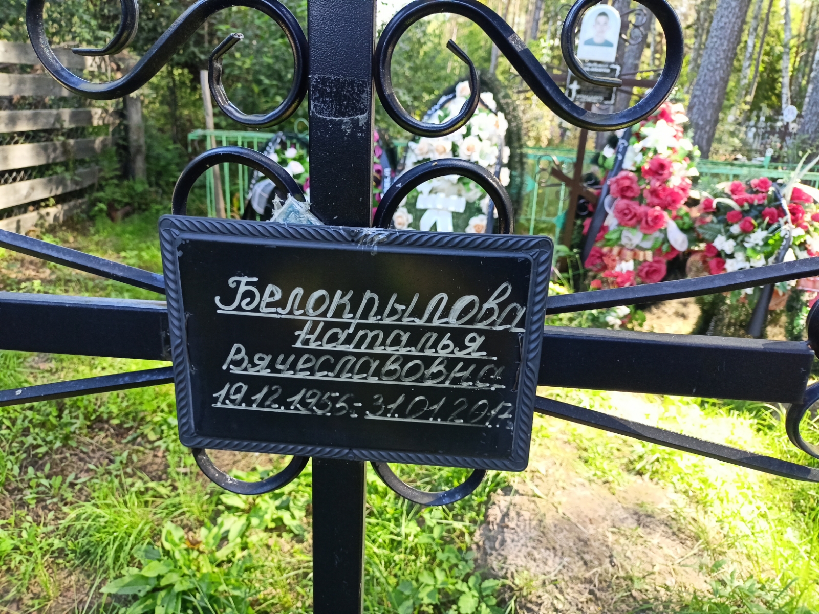 Белокрылова Наталья Вячеславовна