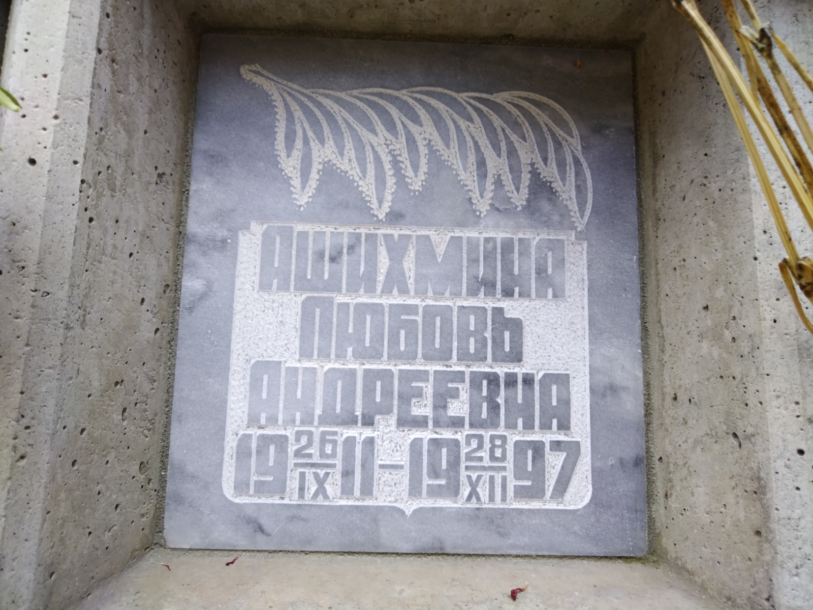 Ашихмина Любовь Андреевна