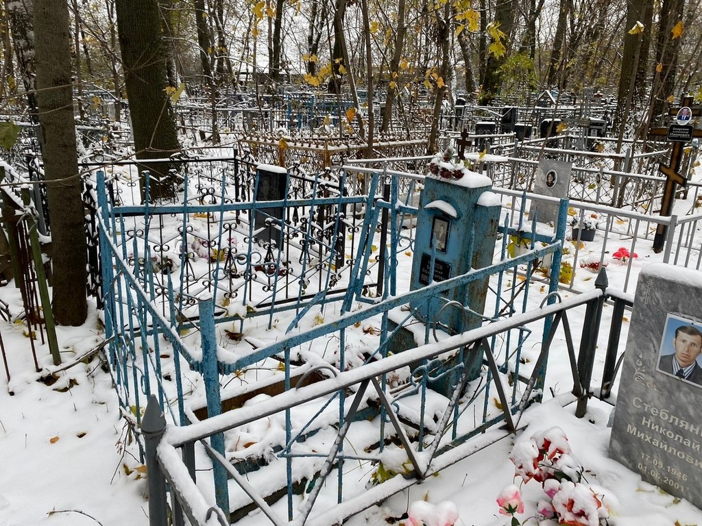 Низов Владимир Александрович