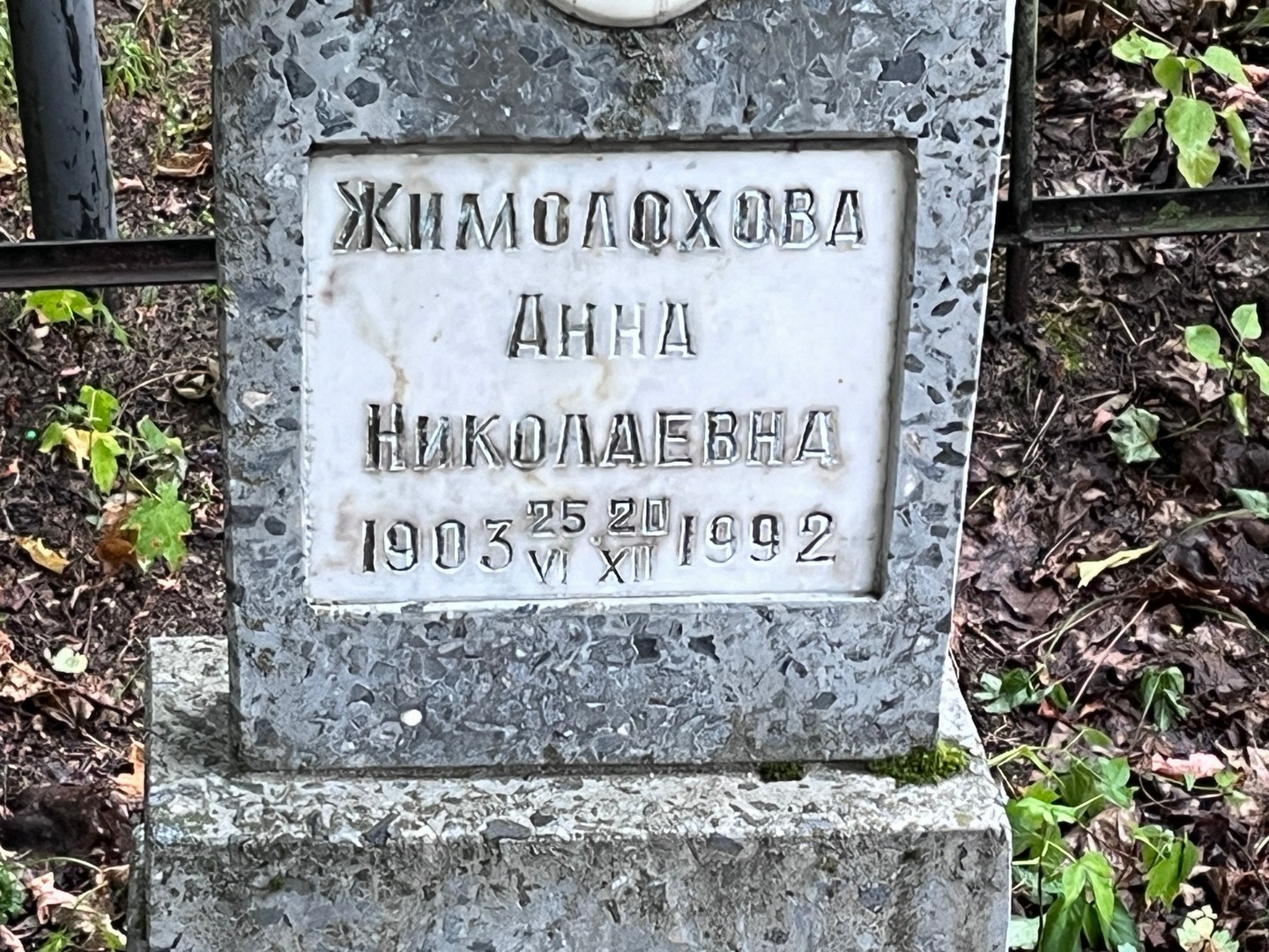 Жимолохова