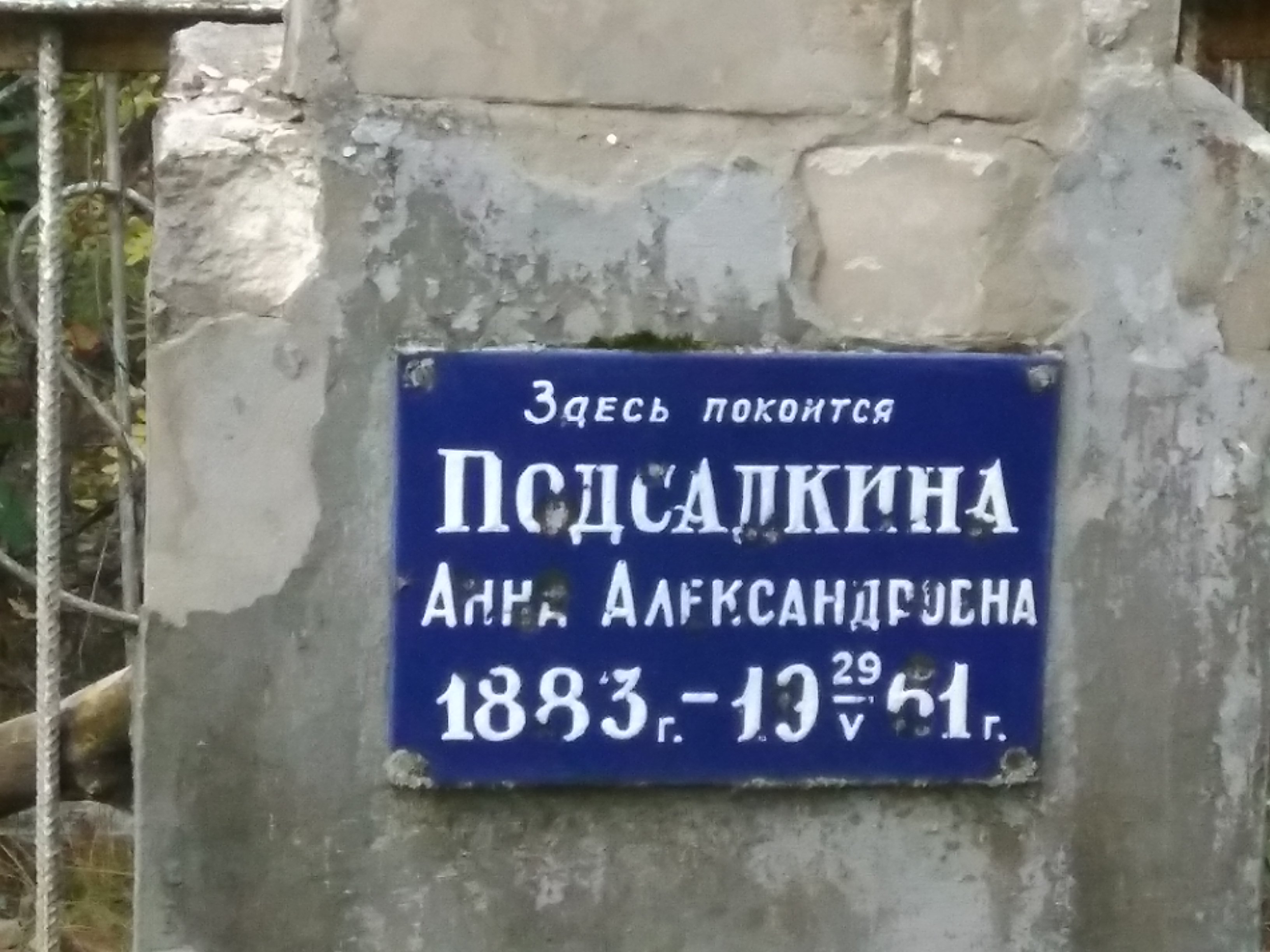 Подсадкина Анна Александровна