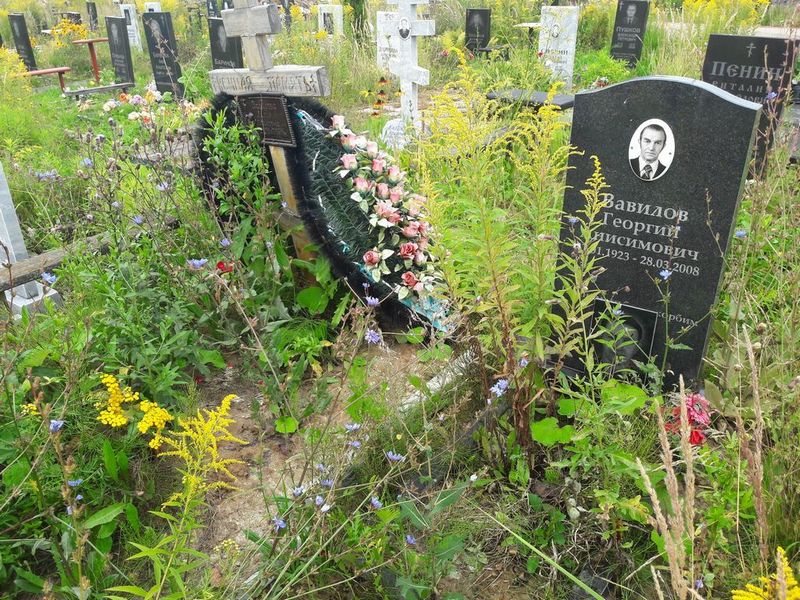 Вавилов Георгий Анисимович