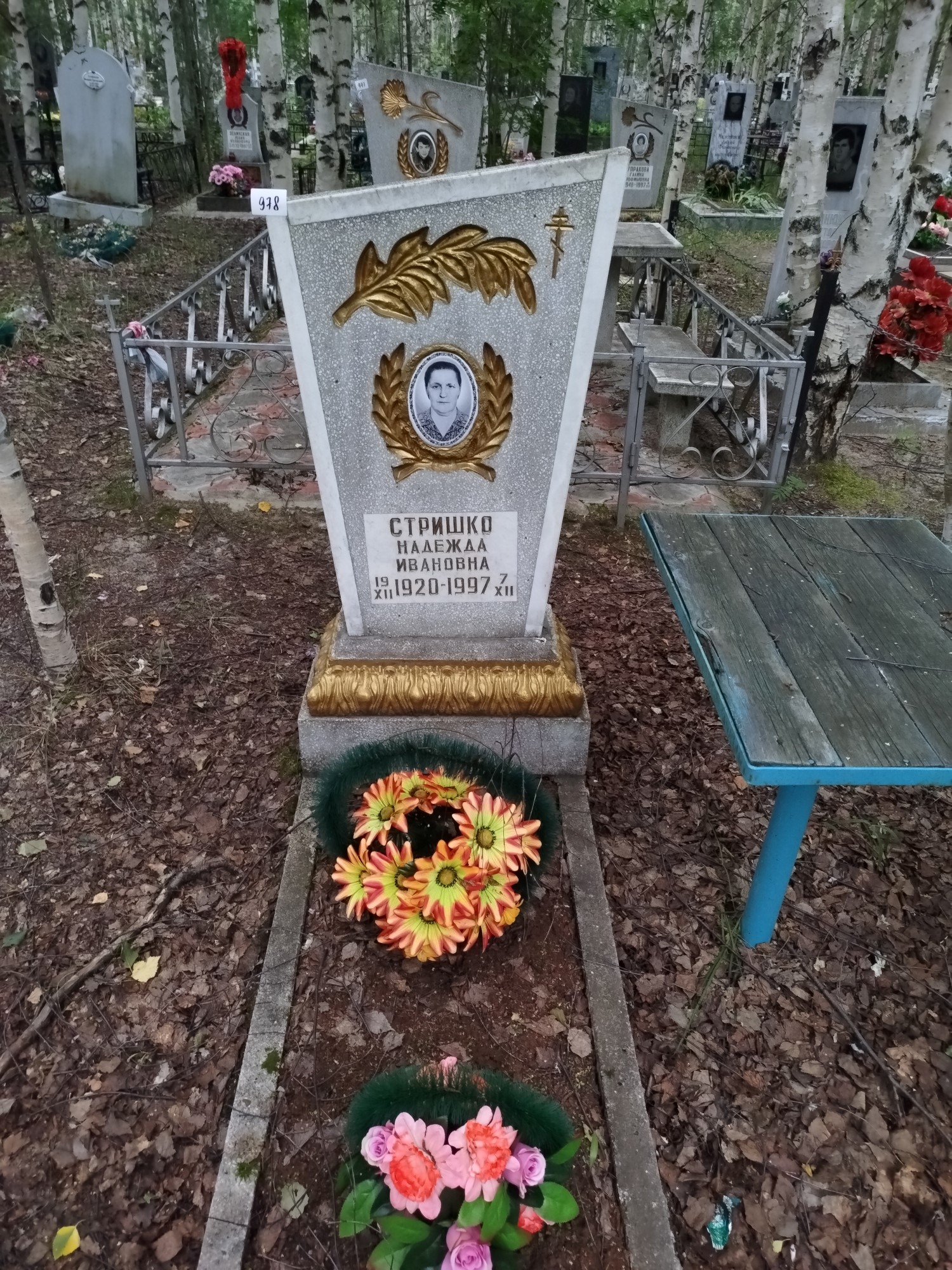 Стрижко Надежда Ивановна