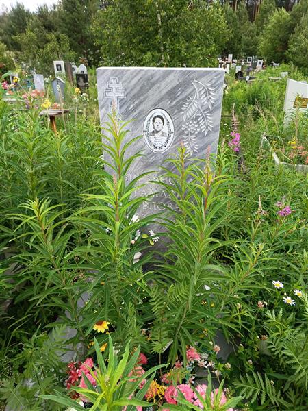 Кирьянова Тамара Павловна