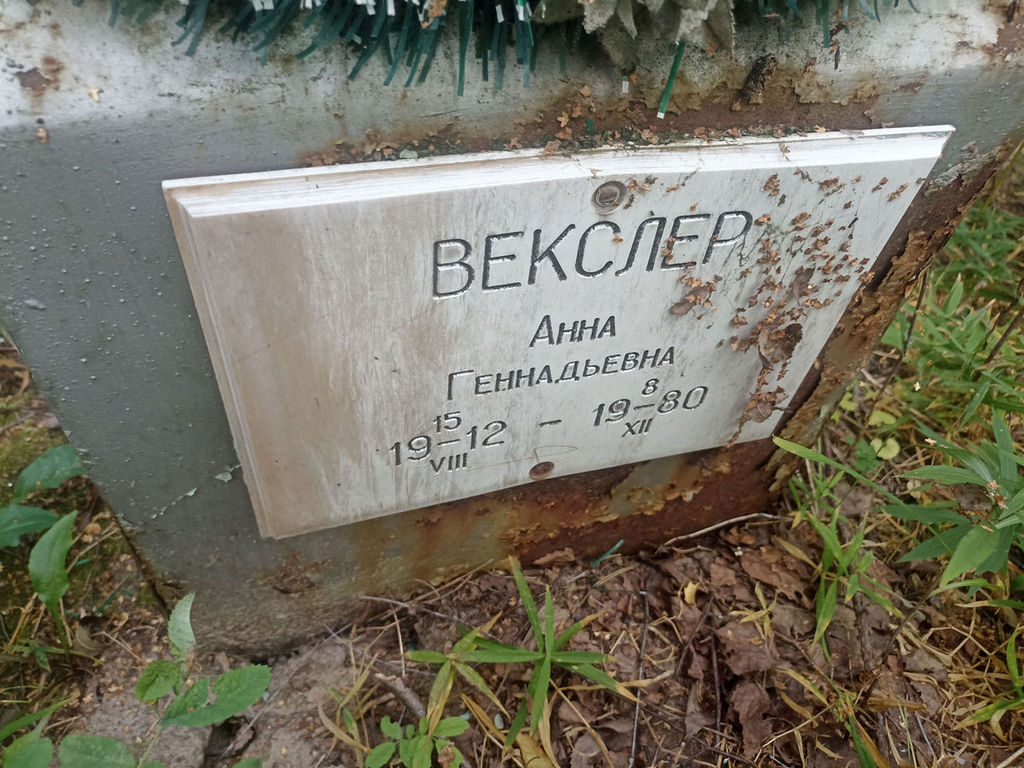 Векслер Анна Геннадьевна