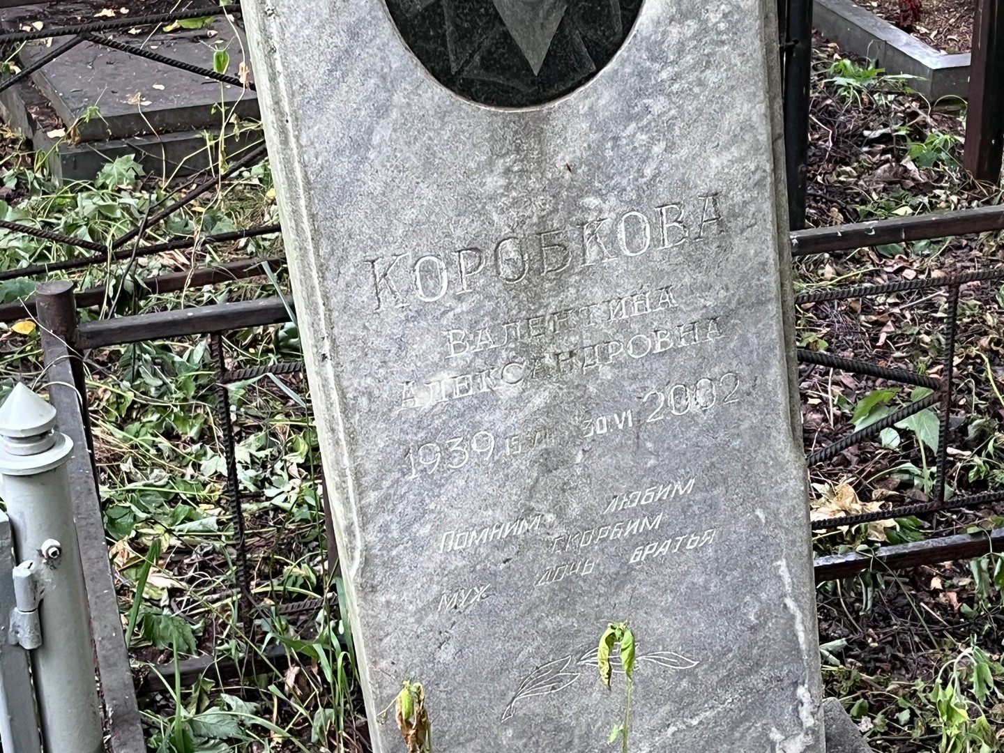 Коробкова
