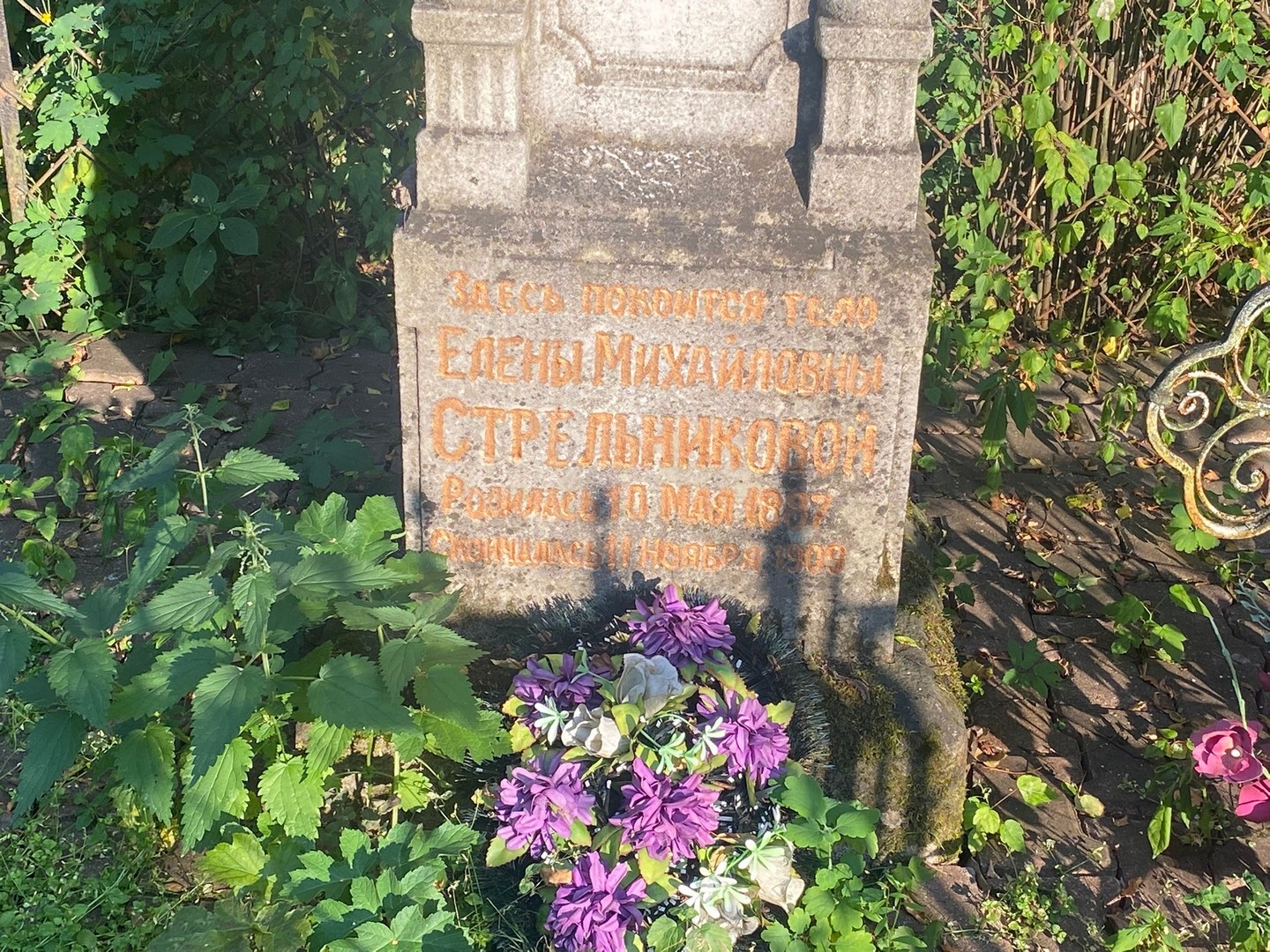 Стрельникова