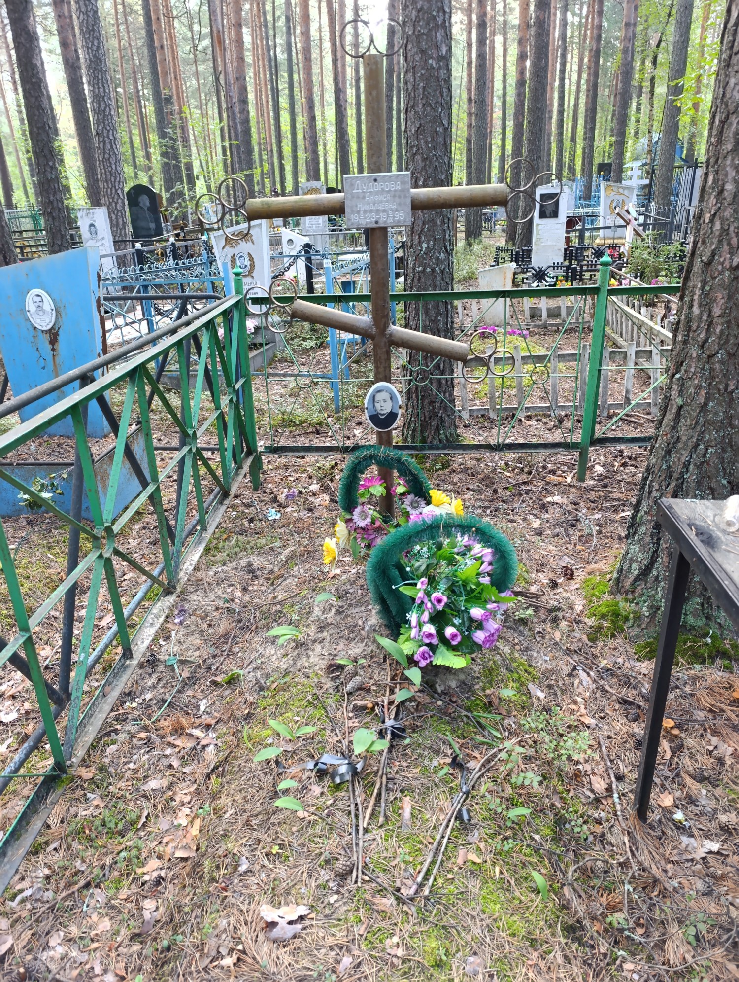 Дудорова Анфиса Николаевна
