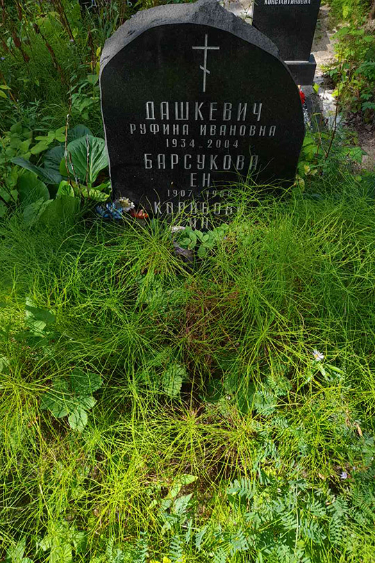 Барсукова Е. Н.