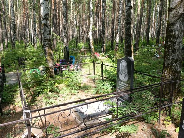 Еремеев Владимир Ильич