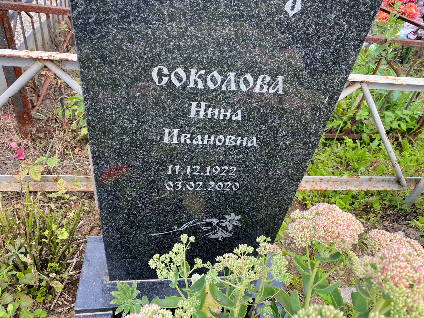 Соколова
