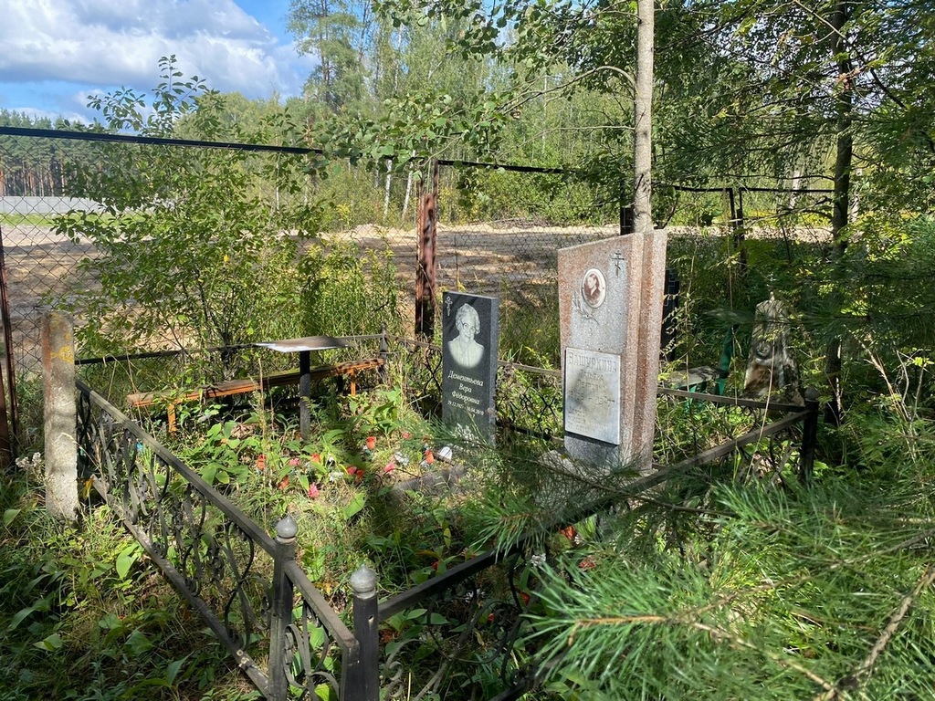 Вашуркина Татьяна Петровна