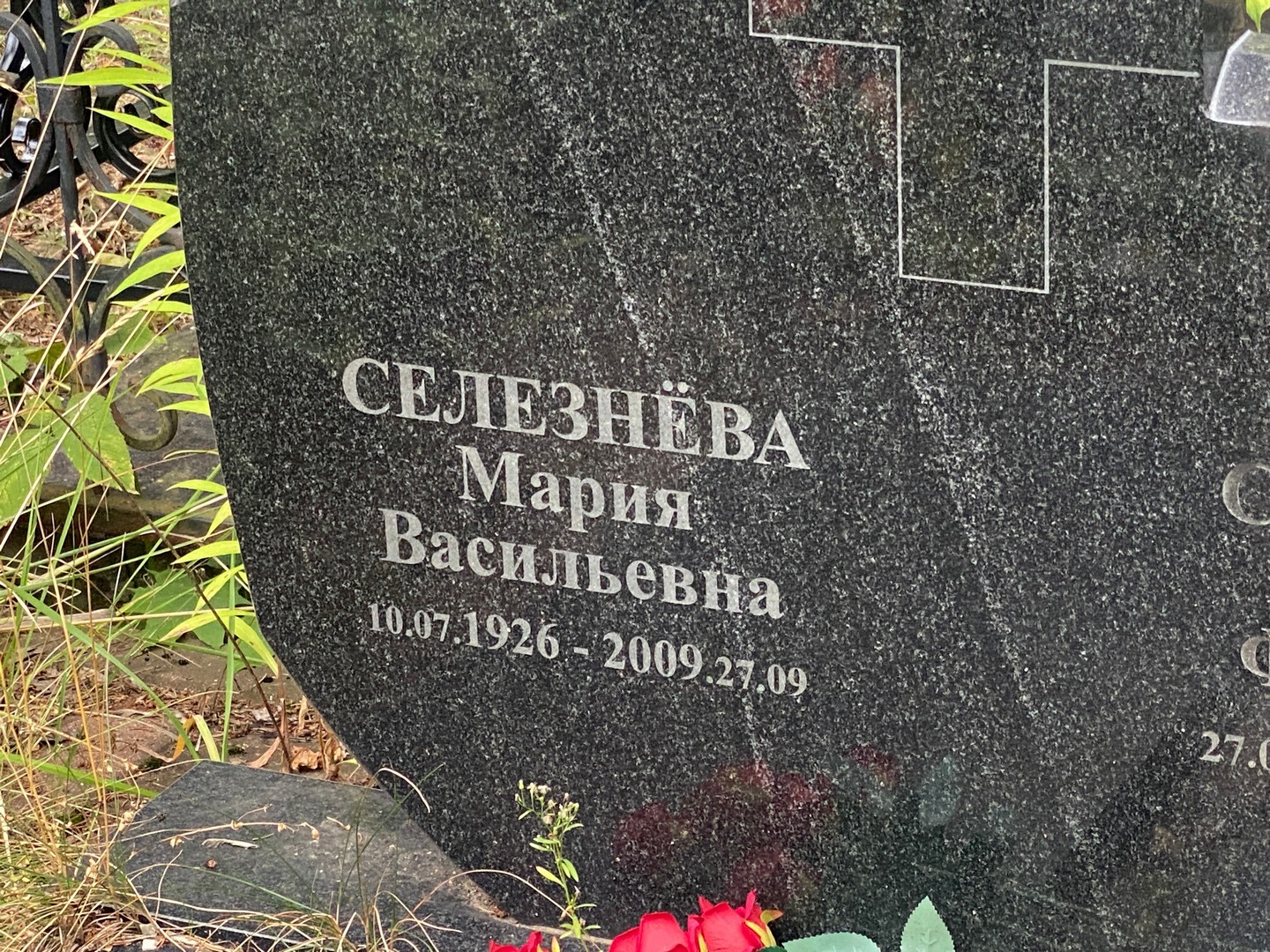 Селезнева