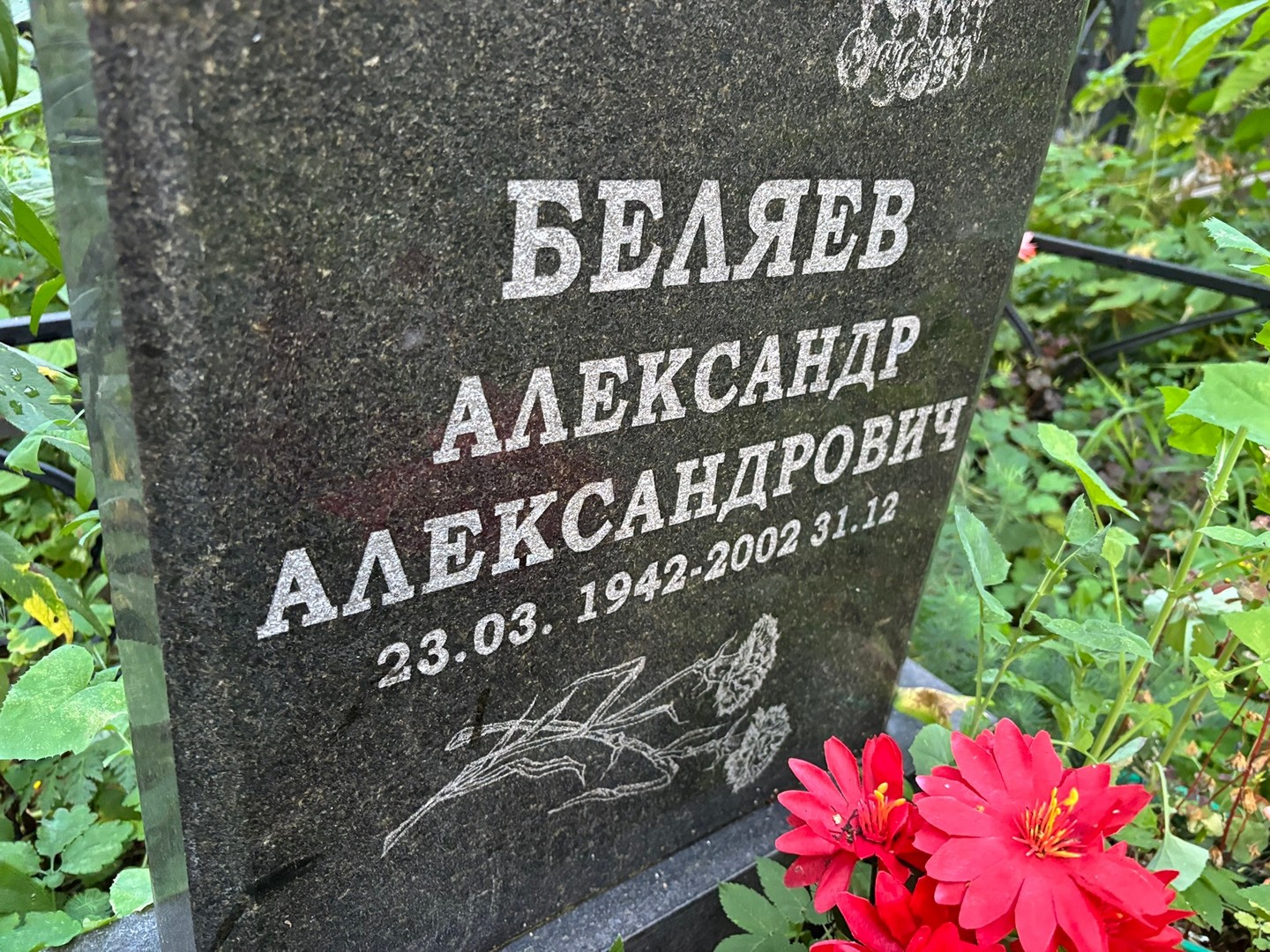 Беляев