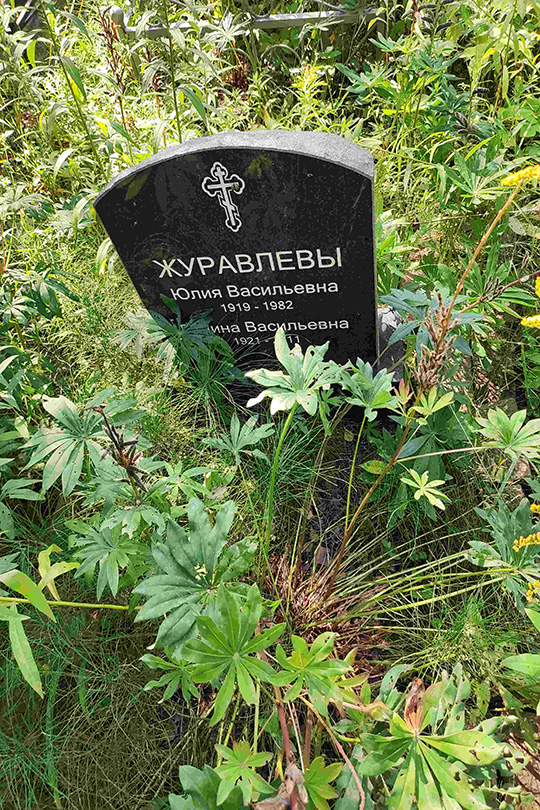 Журавлева Юлия Васильевна