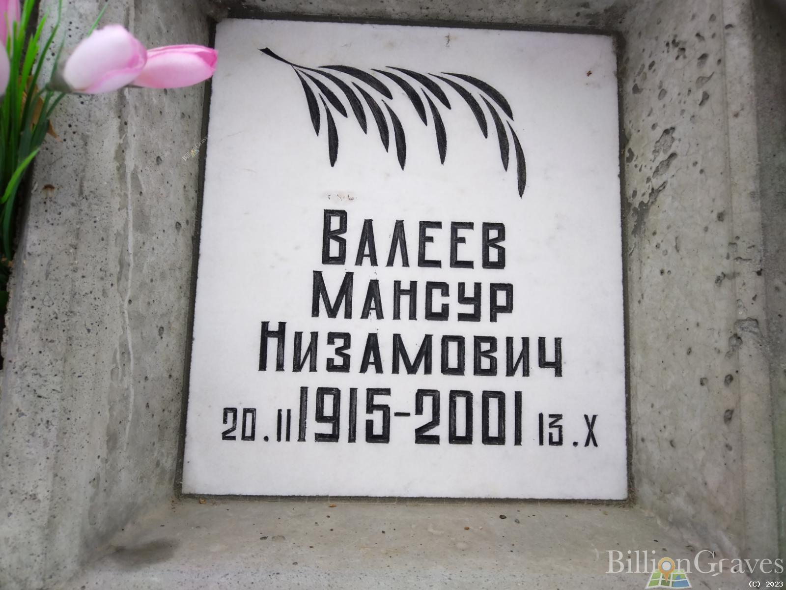 Валеев Мансур Низамович