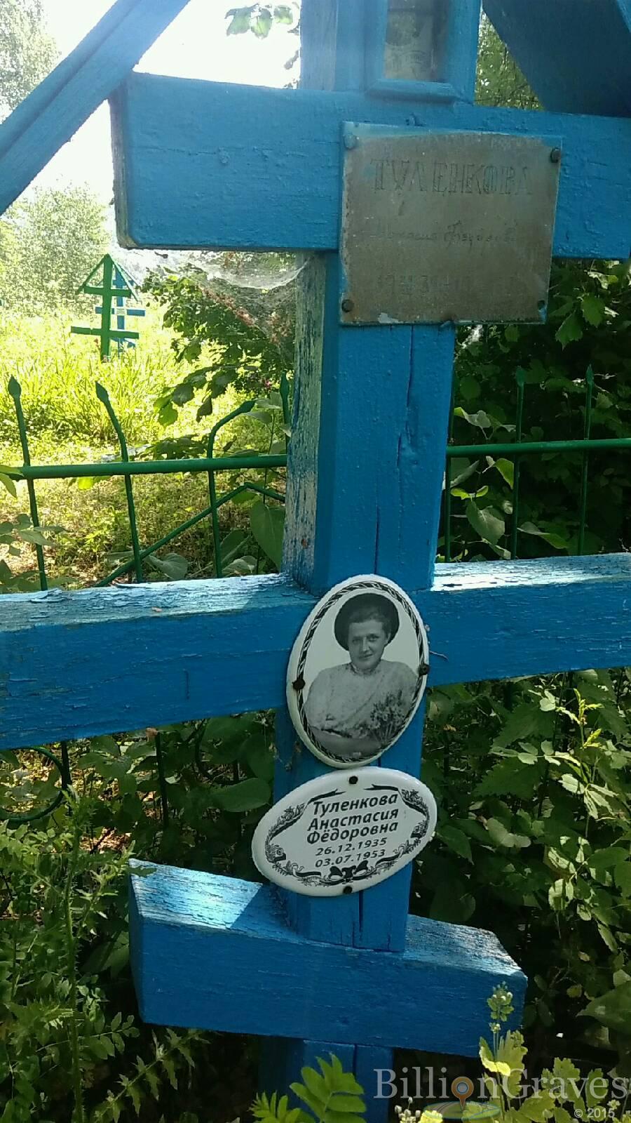 Туленкова Анастасия Фёдоровна