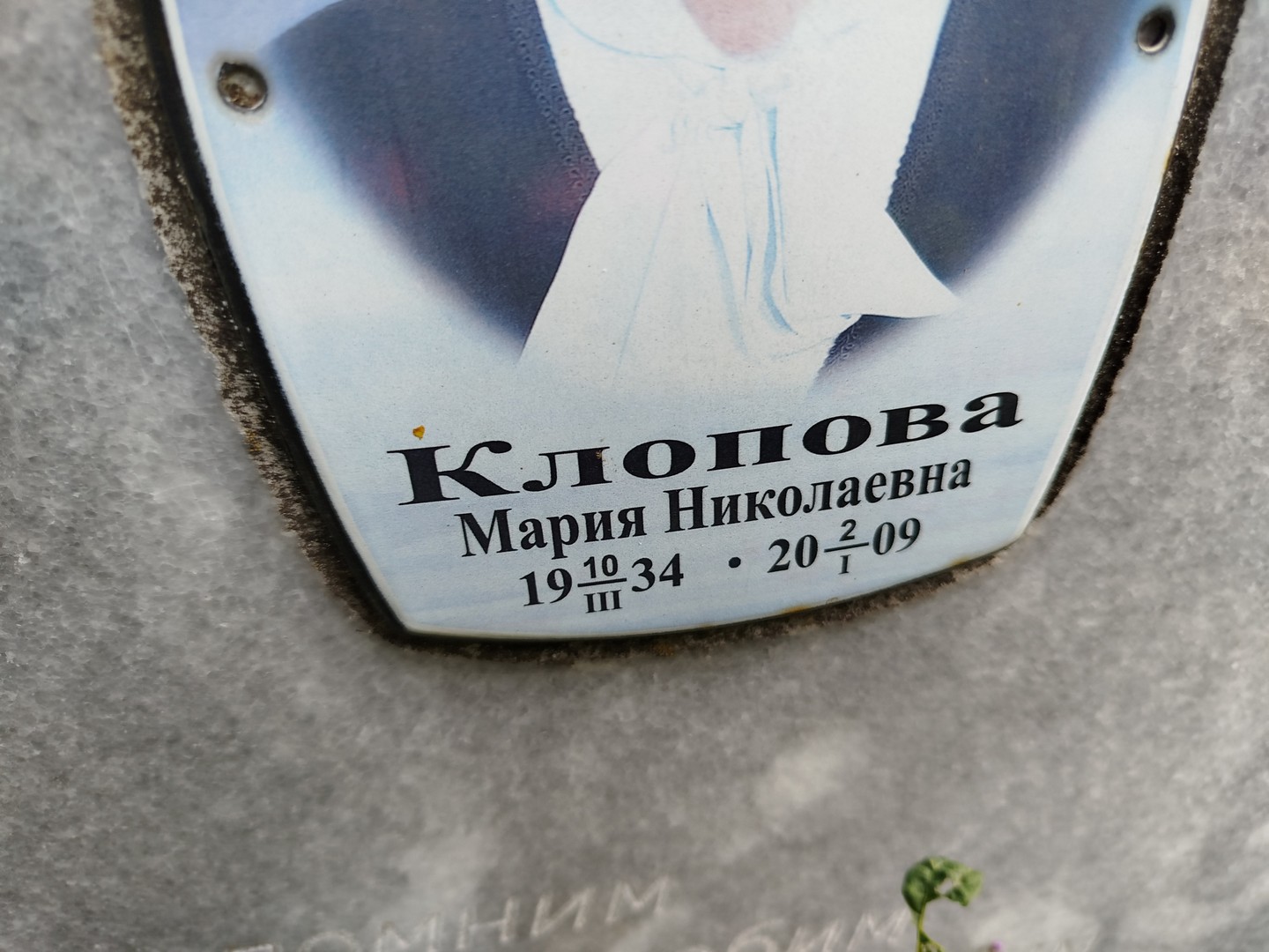 Клопова