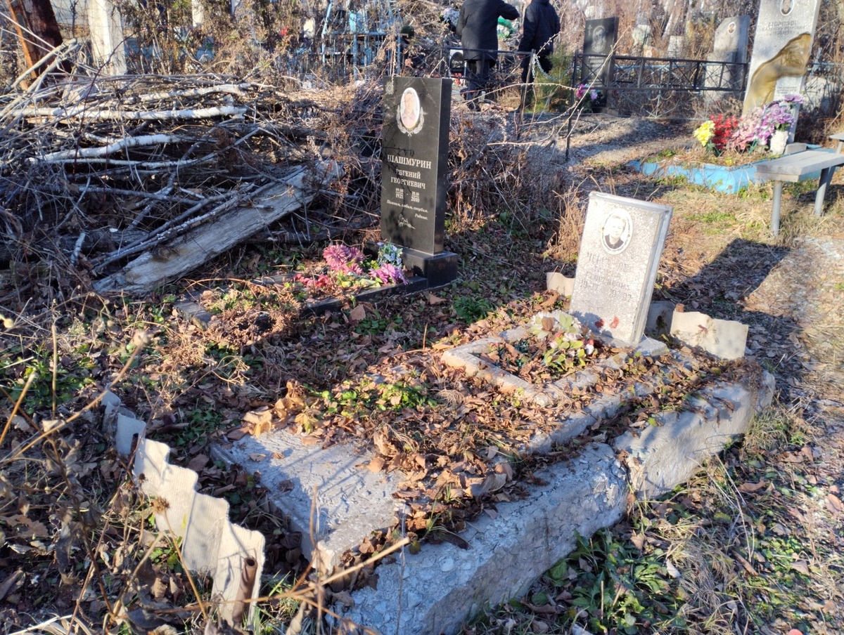 Шамшурин Евгений Георгиевич