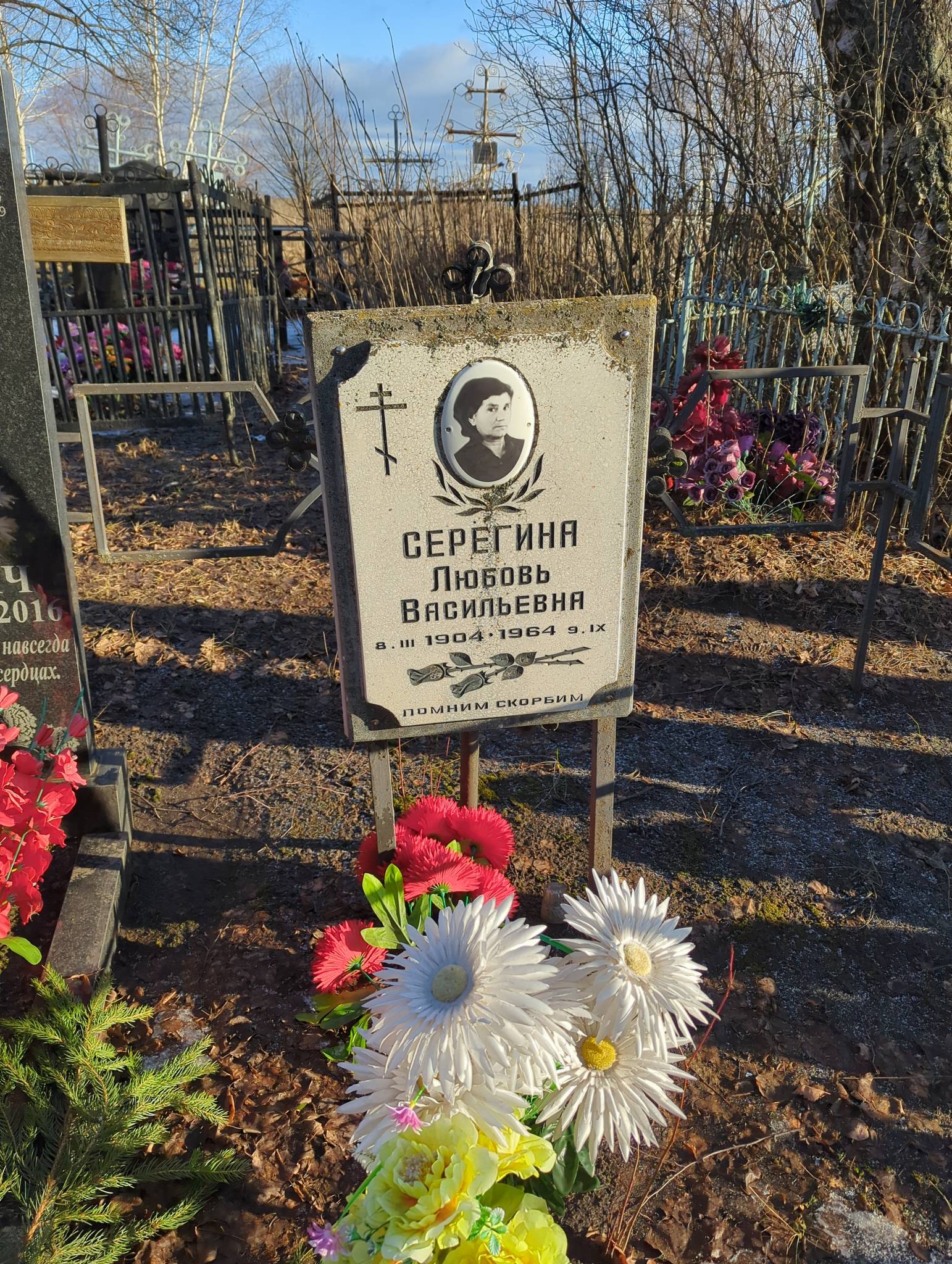 Серёгина Любовь Васильевна