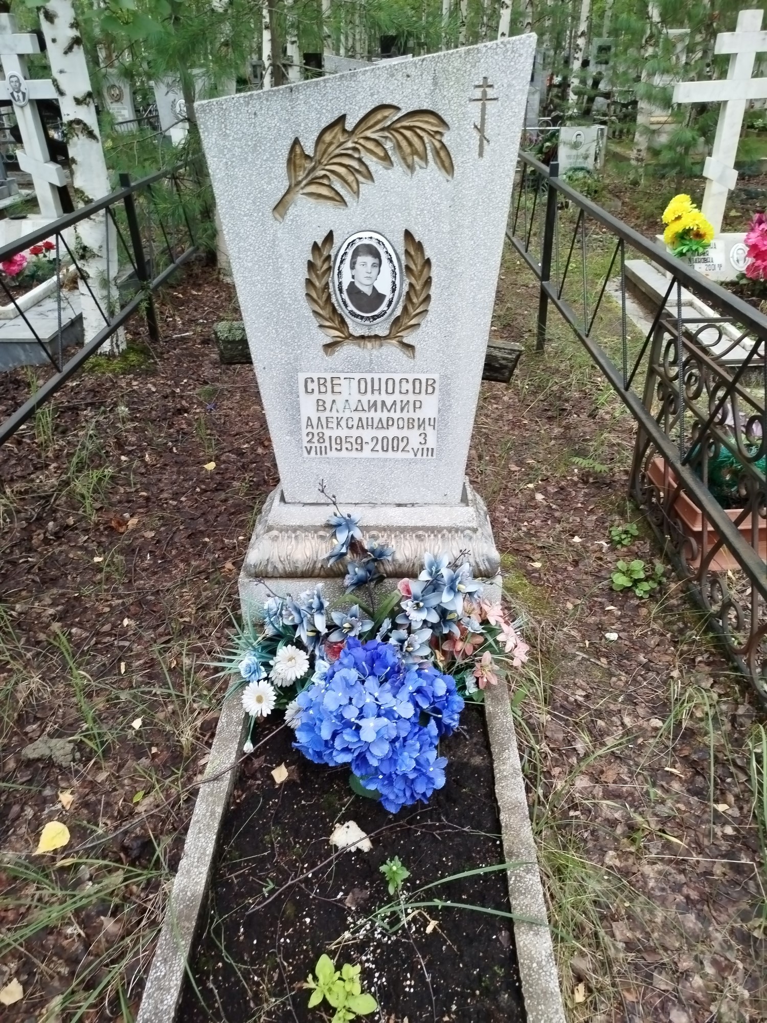 Светоносов Владимир Александрович