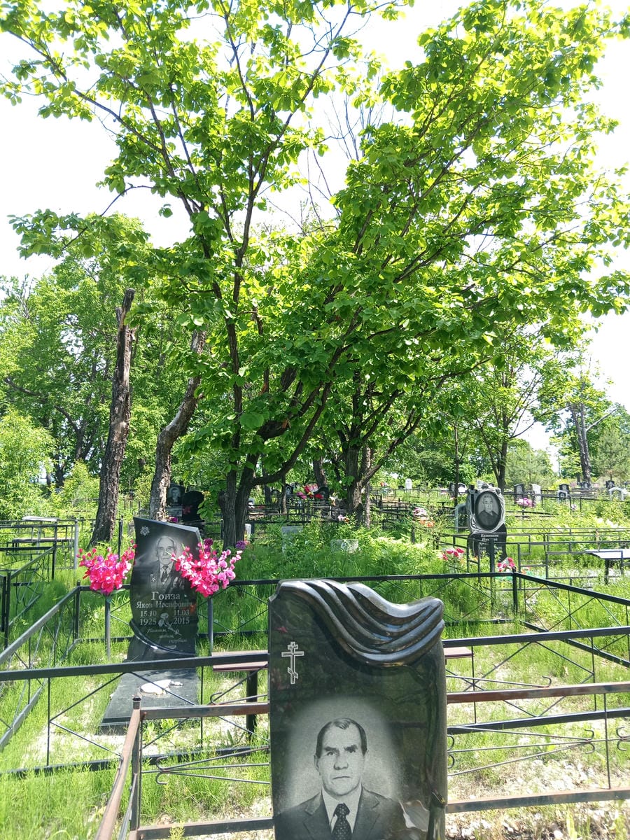 Типицин Юрий Александрович