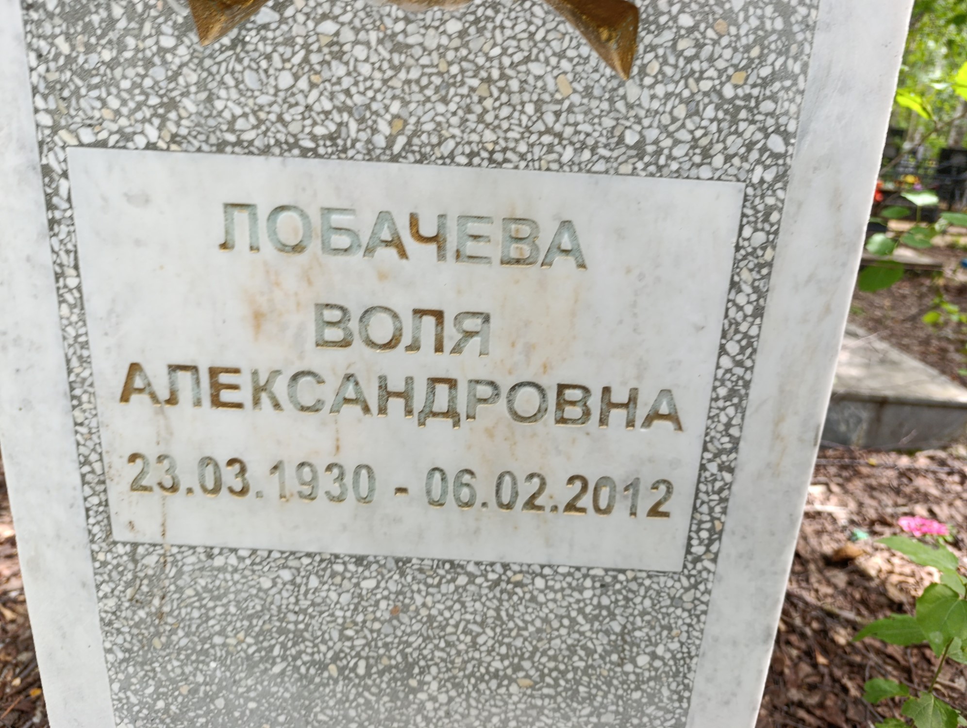 Лобачева Воля Александровна