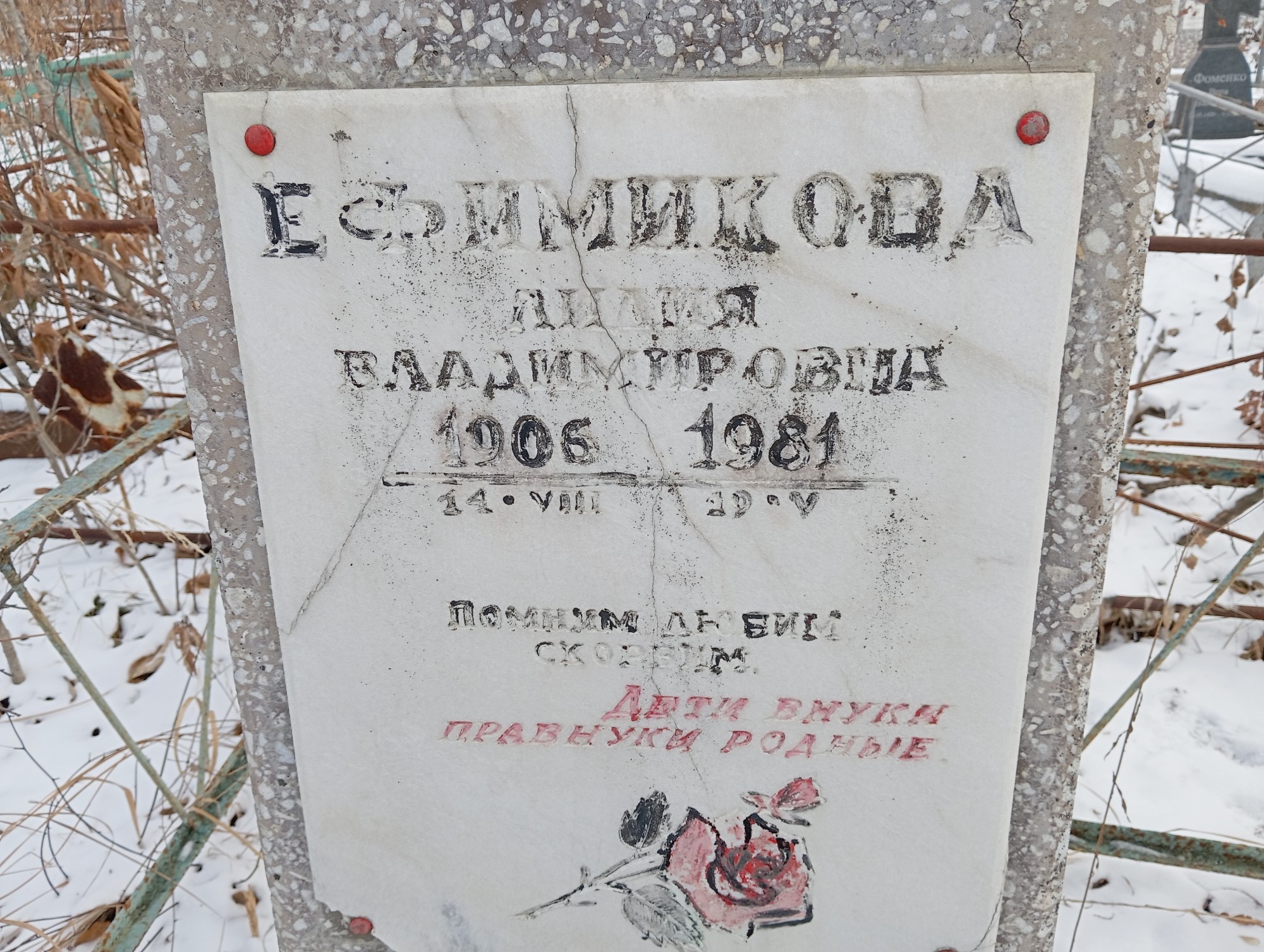 Ефимикова Лилия Владимировна