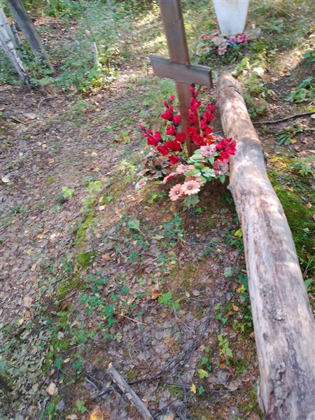Дмитриева Валентина Михайловна