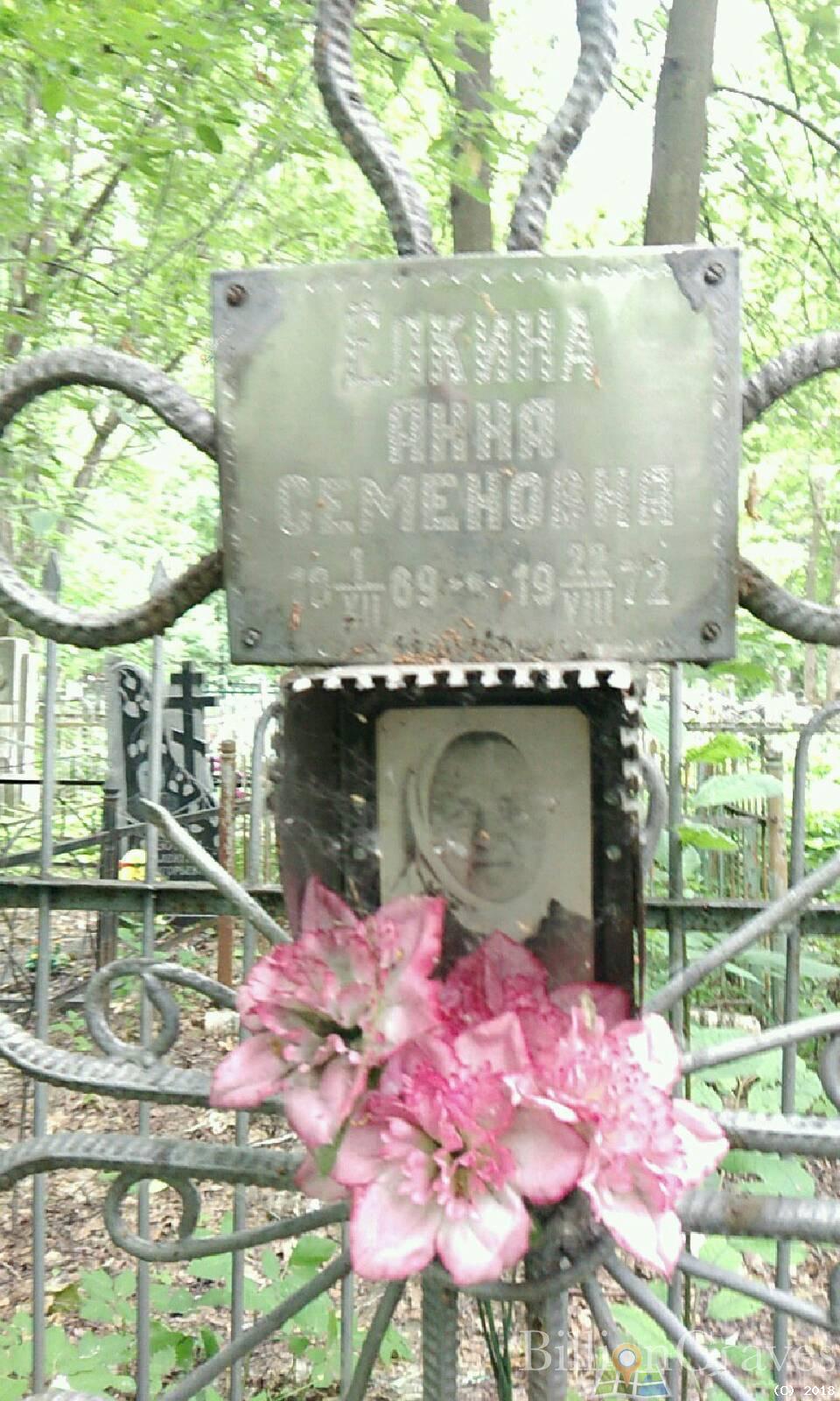 елкина анна семеновна
